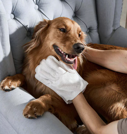 Calixo™ Total Care Pet Wipes