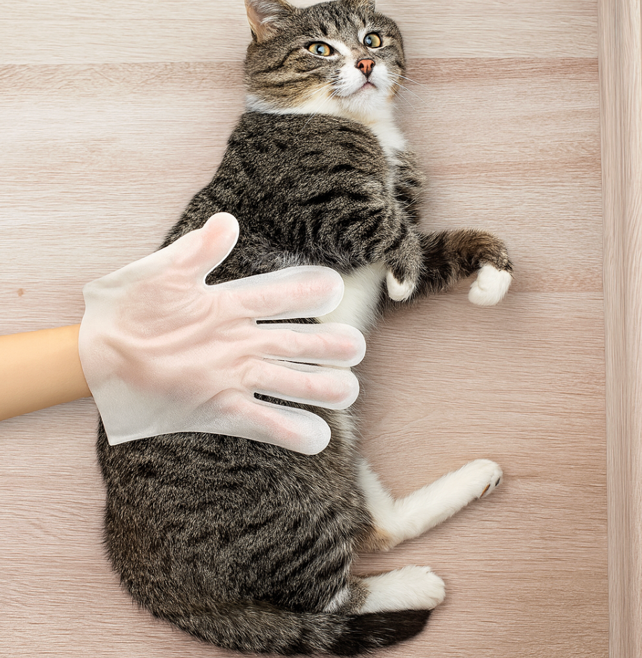 Calixo™ Total Care Pet Wipes